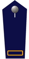 Brandreferendar/-in