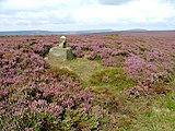 Stump Cross on Slape Wath Moor: heather moors overlook Cockayne