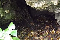 A Szeles-barlang nyílása
