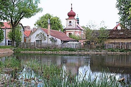 Třtice : l'étang.