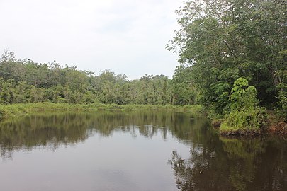 Tabek Silocen adalah salah satu objek wisata alam yang pernah ada di nagari Palangki