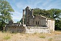 Temple romain de Château-Bas