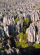 Parque nacional Tsingy de Bemaraha.