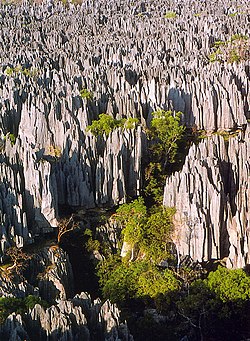 Paysage karstique et massif calcaire de la réserve naturelle intégrale du Tsingy de Bemaraha
