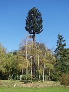 L'une des deux antennes arborisées, relais de téléphonie mobile.