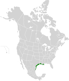 Description de l'image Western Gulf Coastal Grasslands map.svg.