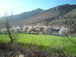 Köyden bir görünüm