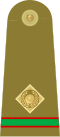 08. Армия Пакистана-CWO.svg