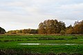 Beekdal Drentsche Aa (Nationaal Landschap Drentsche Aa)