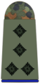 Naramenska epoletna oznaka (za bojno uniformo)