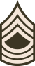 Army-USA-OR-08b (Армейская зелень) .svg