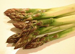 Asparagus officinalis, фотографија је преузета са википедијине оставе