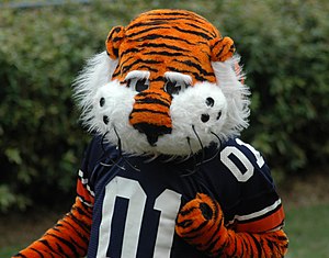 Aubie-01.jpg