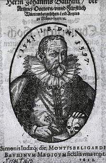 Баухин Жан 1541-1612.jpg