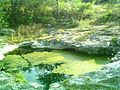 Cenote Chen Ha.