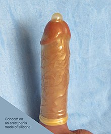 Condom fitting in size over a penis made of silicone Condom on penis 1.jpg