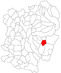 Location in Caraș-Severin County