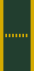 Данск Politikadet.svg