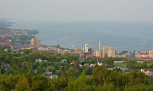 Duluth and area, from Enger Tower.