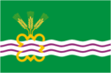 Flag of Kamensky District