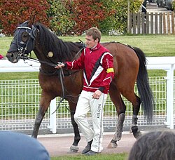 FranceNormandieArgentanHippodromeTargetKronos.jpg