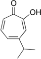 Hinokitiol – composed of cycloheptatriene ring, isopropyl, carbonyl and hydroxy groups (isopropyl cycloheptatrienolone).