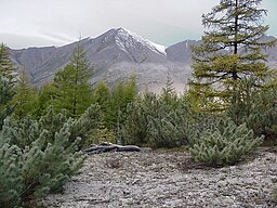 Kolyma Nature.jpg