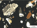 Latita vista en làmina prima mitjançant microscopi òptic