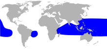 Lesser frigatebird (Fregata ariel) distribution map HBW.svg