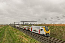 Rame motorisée de quatre M7 et six M4.