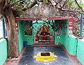 Maa Bhadra Kali Temple, Rayagada