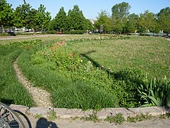 Parc Gédéon-de-Catalogne