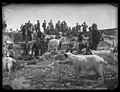 Contadini italiani, fotografati da Gabrielle Hébert intorno al 1895