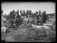 Paysans italiens et leurs chèvres, photographiés par Gabrielle Hébert vers 1895.