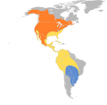 Aire de répartition de l'Hirondelle à front blanc