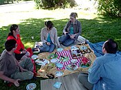 People enjoying a picnic