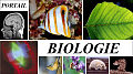 En-tête Portail Biologie