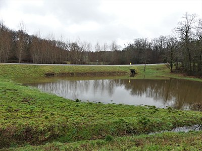 Frühjahrsüberschwemmung am Pré Pinson oberhalb der D 939