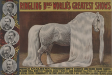 Image montrant sur la gauche cinq portraits d'hommes dans des médaillons et au centre un cheval blanc à la longue crinière