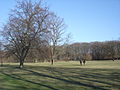 Volkspark Rehberge