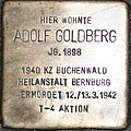 Adolf Goldberg