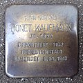 Stolperstein für Honet Kaufmann