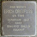 Stolperstein für Erich Dreifuss (Siemensstraße 29)