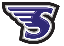 Stonehill Skyhawks athletic logo
