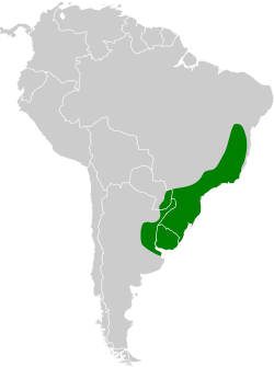 Distribución geográfica del pijuí plomizo.