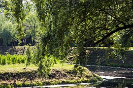 Panoramic view of Tauride Garden (2014)