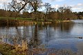 The lake, Hillsborough forest