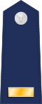 US Air Force O1 shoulderboard.svg