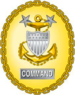 Назначенный комендантом береговой охраны США командиром, старшим старшиной, идентификационный значок.png