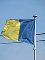 Wapperende vlag met de kleuren van de gemeente Opwijk